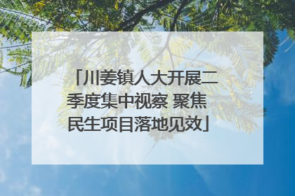 川姜镇人大开展二季度集中视察 聚焦民生项目落地见效