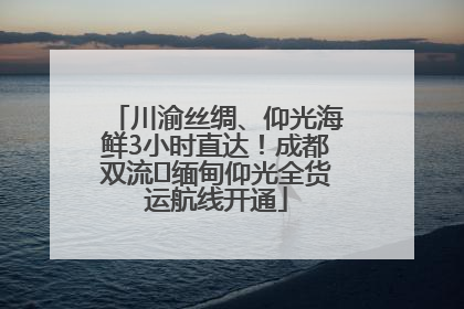 川渝丝绸、仰光海鲜3小时直达！成都双流⇌缅甸仰光全货运航线开通