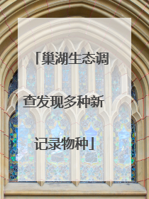 巢湖生态调查发现多种新记录物种