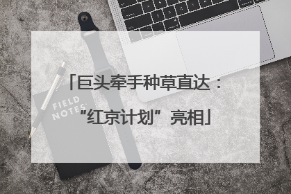 巨头牵手种草直达：“红京计划”亮相