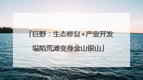 巨野：生态修复+产业开发 塌陷荒滩变身金山银山