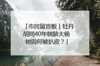 市民留言板｜牡丹胡同40年树龄大杨树因何被扒皮？