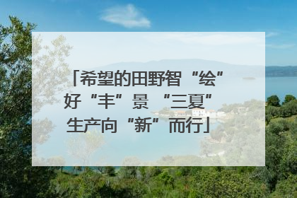 希望的田野智“绘”好“丰”景 “三夏”生产向“新”而行