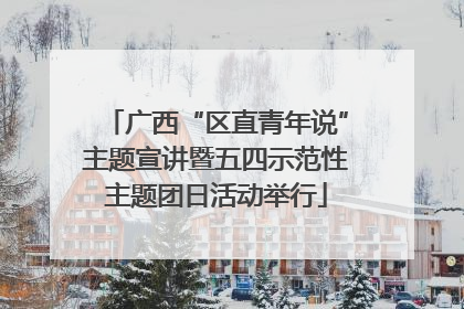 广西“区直青年说”主题宣讲暨五四示范性主题团日活动举行