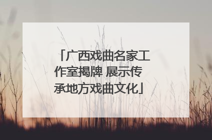 广西戏曲名家工作室揭牌 展示传承地方戏曲文化