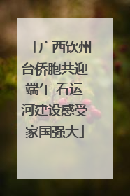 广西钦州台侨胞共迎端午 看运河建设感受家国强大