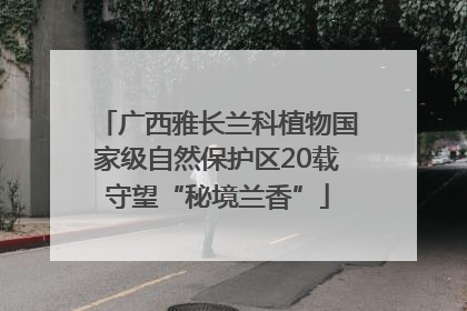 广西雅长兰科植物国家级自然保护区20载守望“秘境兰香”