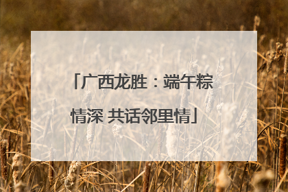 广西龙胜：端午粽情深 共话邻里情