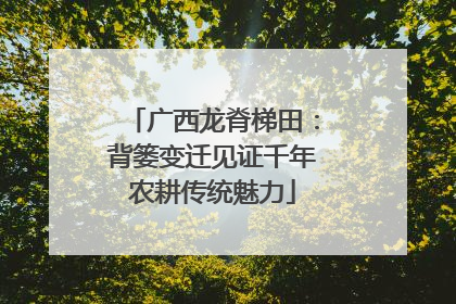 广西龙脊梯田：背篓变迁见证千年农耕传统魅力