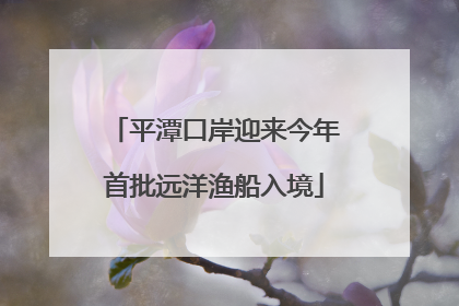 平潭口岸迎来今年首批远洋渔船入境