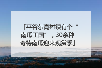 平谷东高村镇有个“南瓜王国”，30余种奇特南瓜迎来观赏季