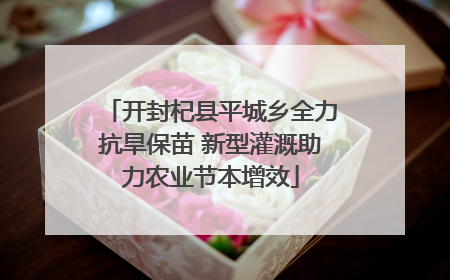 开封杞县平城乡全力抗旱保苗 新型灌溉助力农业节本增效