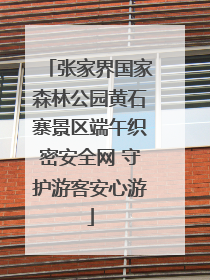 张家界国家森林公园黄石寨景区端午织密安全网 守护游客安心游