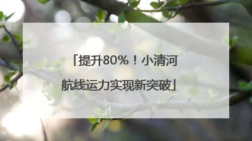 提升80％！小清河航线运力实现新突破