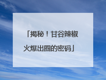 揭秘！甘谷辣椒火爆出圈的密码