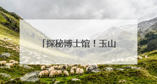 探秘博士馆！玉山县逸夫小学学子解锁家乡“学霸密码”
