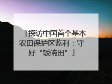 探访中国首个基本农田保护区监利：守好“饭碗田”