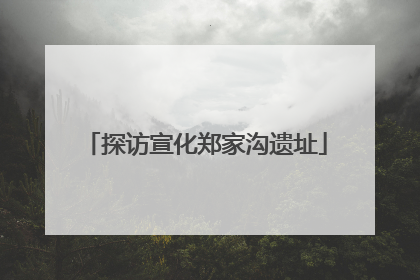 探访宣化郑家沟遗址