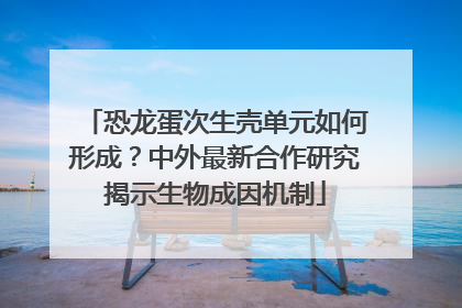 恐龙蛋次生壳单元如何形成？中外最新合作研究揭示生物成因机制