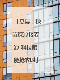 息县：秧苗绿浪接麦浪 科技赋能抢农时