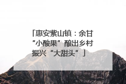 惠安紫山镇：余甘“小酸果”酿出乡村振兴“大甜头”