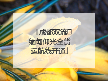 成都双流⇌缅甸仰光全货运航线开通