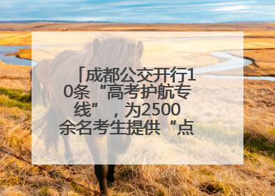 成都公交开行10条“高考护航专线”，为2500余名考生提供“点对点”出行服务