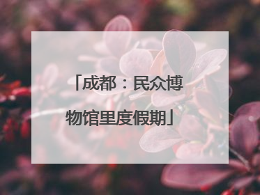 成都：民众博物馆里度假期