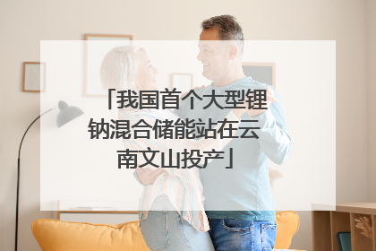 我国首个大型锂钠混合储能站在云南文山投产