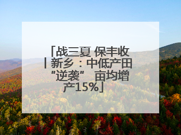 战三夏 保丰收丨新乡：中低产田“逆袭” 亩均增产15%