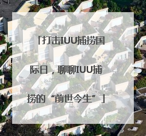 打击IUU捕捞国际日，聊聊IUU捕捞的“前世今生”