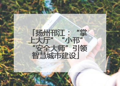 扬州邗江：“掌上大厅”“小邗”“安全大师”引领智慧城市建设