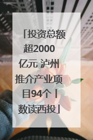 投资总额超2000亿元 泸州推介产业项目94个丨数读西投