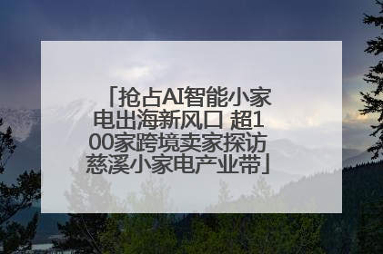 抢占AI智能小家电出海新风口 超100家跨境卖家探访慈溪小家电产业带