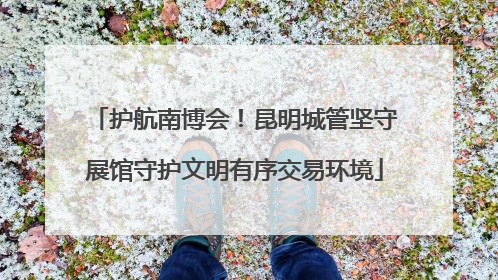 护航南博会！昆明城管坚守展馆守护文明有序交易环境