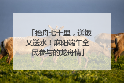 抬舟七十里，送饭又送水！麻阳端午全民参与的龙舟情