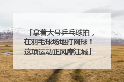 拿着大号乒乓球拍，在羽毛球场地打网球！这项运动正风靡江城