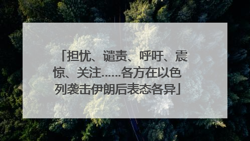 担忧、谴责、呼吁、震惊、关注……各方在以色列袭击伊朗后表态各异