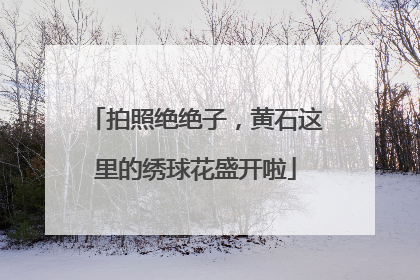 拍照绝绝子，黄石这里的绣球花盛开啦