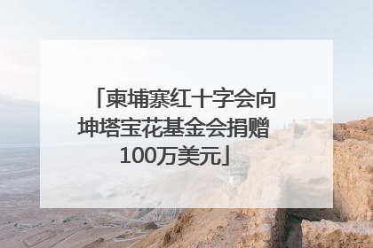 柬埔寨红十字会向坤塔宝花基金会捐赠100万美元