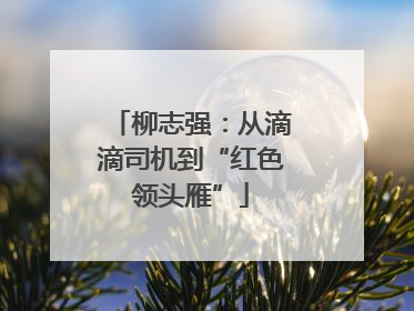 柳志强：从滴滴司机到“红色领头雁”