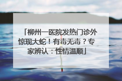 柳州一医院发热门诊外惊现大蛇！有毒无毒？专家辨认：性情温顺