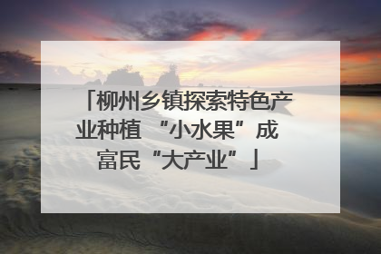 柳州乡镇探索特色产业种植 “小水果”成富民“大产业”