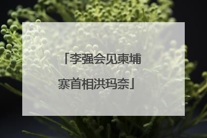 李强会见柬埔寨首相洪玛奈