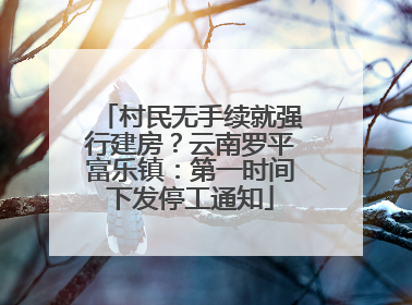 村民无手续就强行建房？云南罗平富乐镇：第一时间下发停工通知