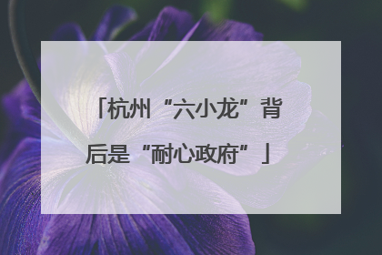 杭州“六小龙”背后是“耐心政府”