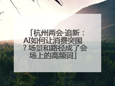 杭州两会·追新：AI如何让消费突围？场景和路径成了会场上的高频词