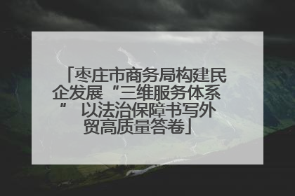 枣庄市商务局构建民企发展“三维服务体系” 以法治保障书写外贸高质量答卷
