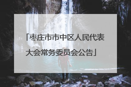 枣庄市市中区人民代表大会常务委员会公告