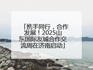 携手同行，合作发展！2025山东国际友城合作交流周在济南启动